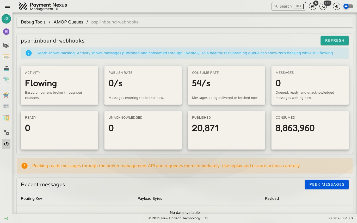 Queue detail page showing summary cards for activity, publish rate, consume rate, messages, ready, unacknowledged, and lifetime counts, with a peek messages section below